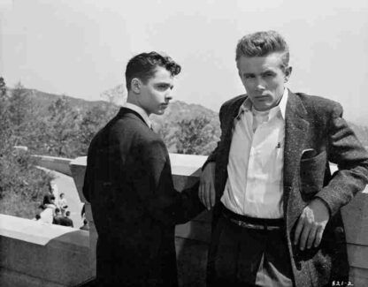 Rebel Without a Cause (1955) Starring James Dean on DVD - Image 2