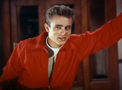 Rebel Without a Cause (1955) Starring James Dean on DVD - Image 4