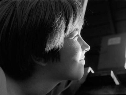 Reconstruction (1968) with English Subtitles on DVD - Image 3