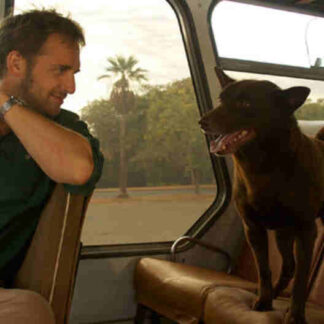 Red Dog (2011) Starring Josh Lucas on DVD