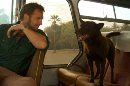 Red Dog (2011) Starring Josh Lucas on DVD
