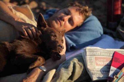 Red Dog (2011) Starring Josh Lucas on DVD - Image 4