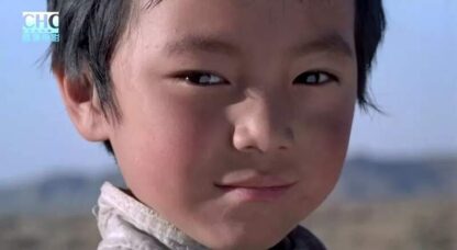 Red River Valley (1997) Starring Jing Ning on DVD - Image 4