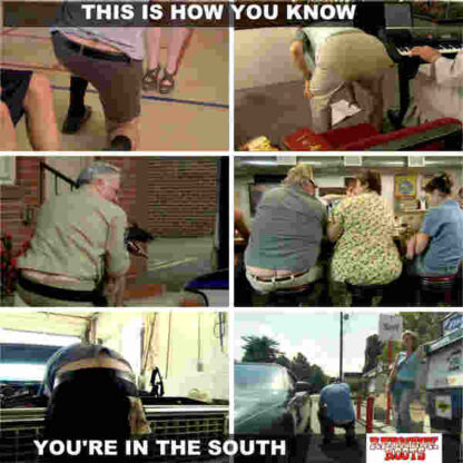 Redneck Roots (2011) Starring Dean Napolitano on DVD - Image 3