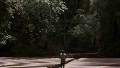 Redwoods (2009) Starring Matthew Montgomery on DVD - Image 2