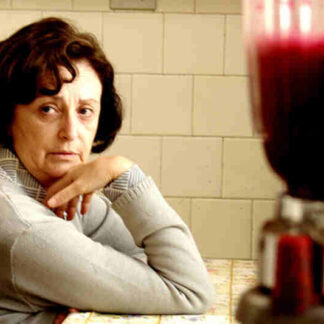 Reflections of a Blender (2010) with English Subtitles on DVD