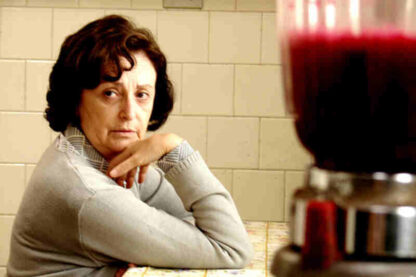 Reflections of a Blender (2010) with English Subtitles on DVD