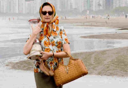 Reflections of a Blender (2010) with English Subtitles on DVD - Image 3