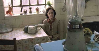 Reflections of a Blender (2010) with English Subtitles on DVD - Image 4