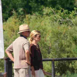 Refuge (2010) Starring Linda Hamilton on DVD