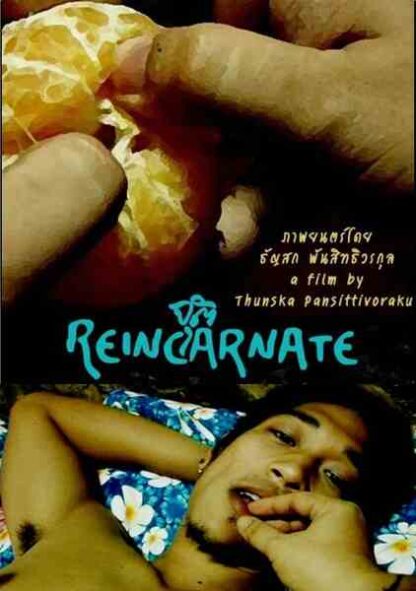 Reincarnate (2010) with English Subtitles on DVD - Image 2