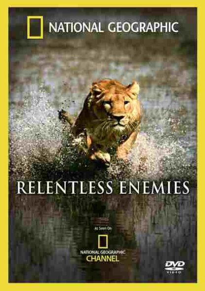 Relentless Enemies (2006) Starring on DVD - Image 4