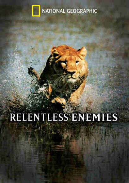 Relentless Enemies (2006) Starring on DVD - Image 5