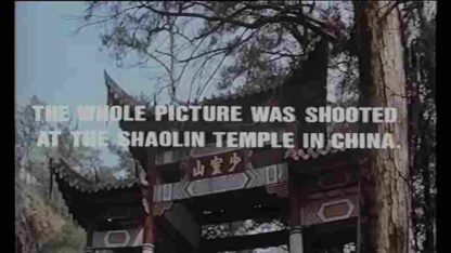 Ren wu ke ren (1980) with English Subtitles on DVD - Image 4