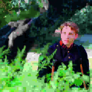 Renoir (2012) with English Subtitles on DVD