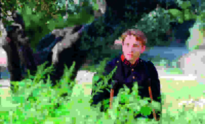Renoir (2012) with English Subtitles on DVD