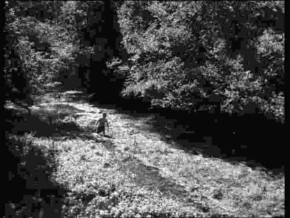 Rentrée des classes (1955) with English Subtitles on DVD