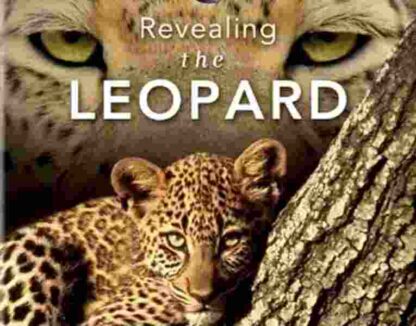 Revealing the Leopard (TV Episode 2010) (2010) Starring Jim Conrad on DVD