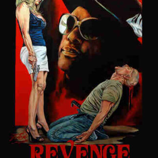 Revenge Is Her Middle Name (2011) Starring Lissa Brennan on DVD