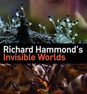Richard Hammond's Invisible Worlds (2010) DVD