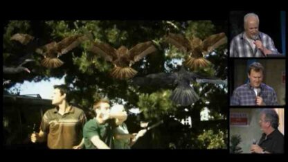 RiffTrax Live: Birdemic - Shock and Terror (2012) Starring Alan Bagh on DVD - Image 2