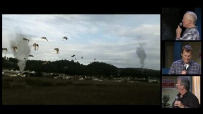 RiffTrax Live: Birdemic - Shock and Terror (2012) Starring Alan Bagh on DVD - Image 3