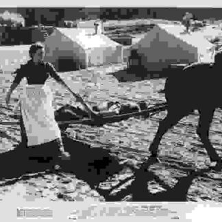 Rio Grande (1950) Starring John Wayne on DVD