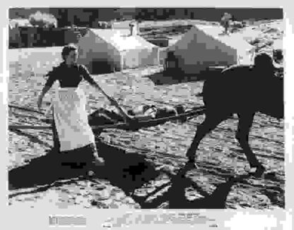 Rio Grande (1950) Starring John Wayne on DVD