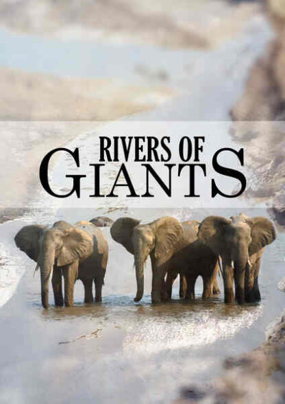 Rivers of Giants (2005) Starring John Paul Walker on DVD - Image 4