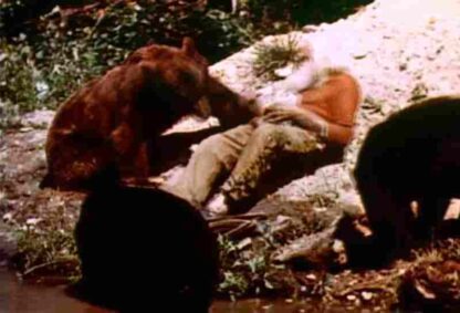Roaming Through Michigan (1950) Starring James A. FitzPatrick on DVD - Image 2