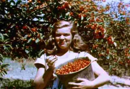 Roaming Through Michigan (1950) Starring James A. FitzPatrick on DVD - Image 4
