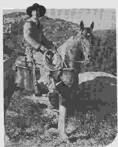 Roaring Frontiers (1941) Starring Tex Ritter on DVD - Image 3
