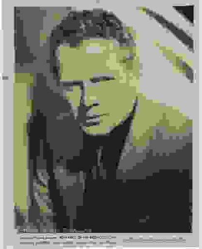 Romance of the Redwoods (1939) Starring Charles Bickford on DVD - Image 4