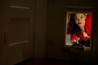 Rosewood Lane (2011) Starring Rose McGowan on DVD - Image 4