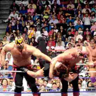 Royal Rumble (1991) Starring Jim Hellwig on DVD