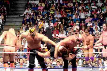 Royal Rumble (1991) Starring Jim Hellwig on DVD