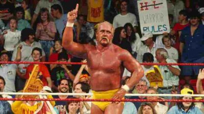 Royal Rumble (1991) Starring Jim Hellwig on DVD - Image 3