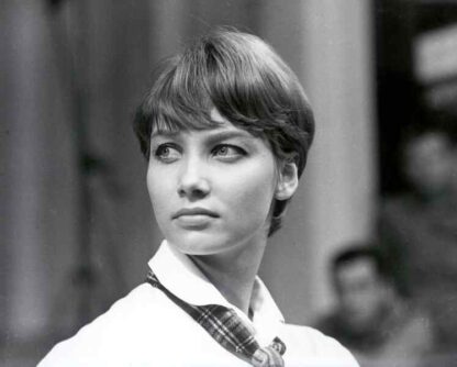 Rozwodów nie bedzie (1964) with English Subtitles on DVD