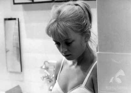 Rozwodów nie bedzie (1964) with English Subtitles on DVD - Image 4