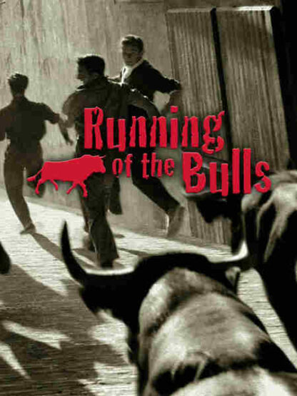 Running of the Bulls (2012) with English Subtitles on DVD - Image 4