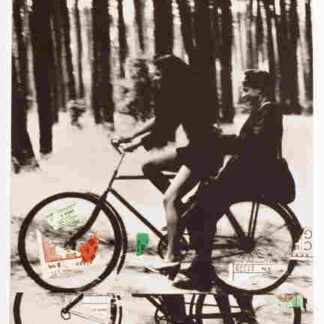 Ruzové sny (1977) with English Subtitles on DVD