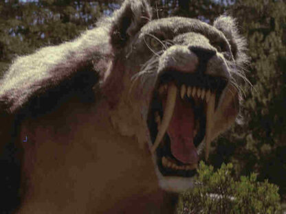 Sabretooth (2002) Starring David Keith on DVD - Image 2