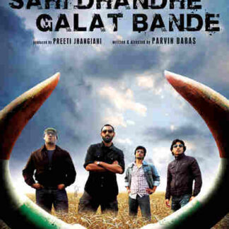 Sahi Dhandhe Galat Bande (2011) with English Subtitles on DVD