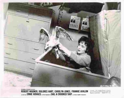 Sail a Crooked Ship (1961) Starring Robert Wagner on DVD - Image 2