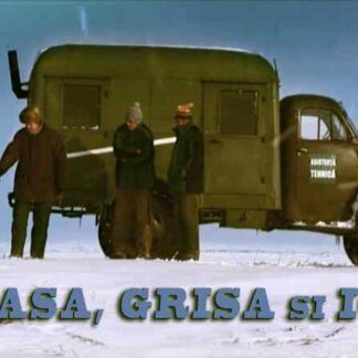 Sasa, Grisa si Ion (2006) with English Subtitles on DVD