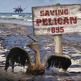 Saving Pelican 895 (2011) Starring Michael Carloss on DVD