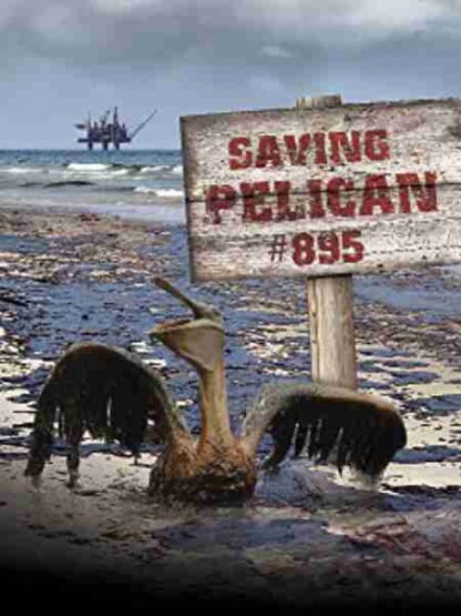 Saving Pelican 895 (2011) Starring Michael Carloss on DVD