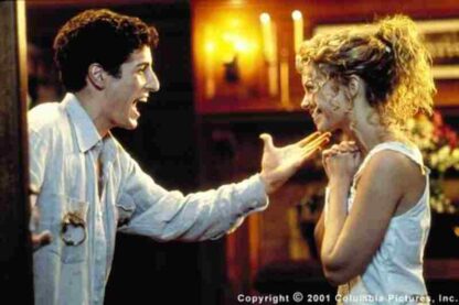 Saving Silverman (2001) Starring Jason Biggs on DVD - Image 2