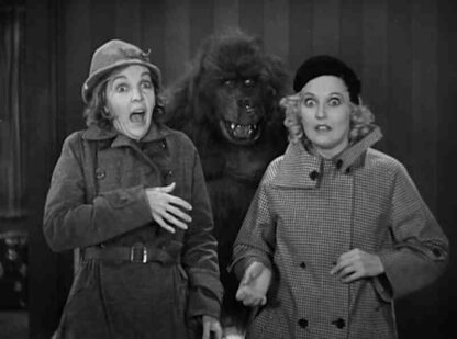 Sealskins (1932) Starring Zasu Pitts on DVD - Image 3