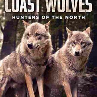 Searching for the Coast Wolves (2006) with English Subtitles on DVD